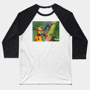 Unique and organic photo of a red shield bug playing the flute! Baseball T-Shirt